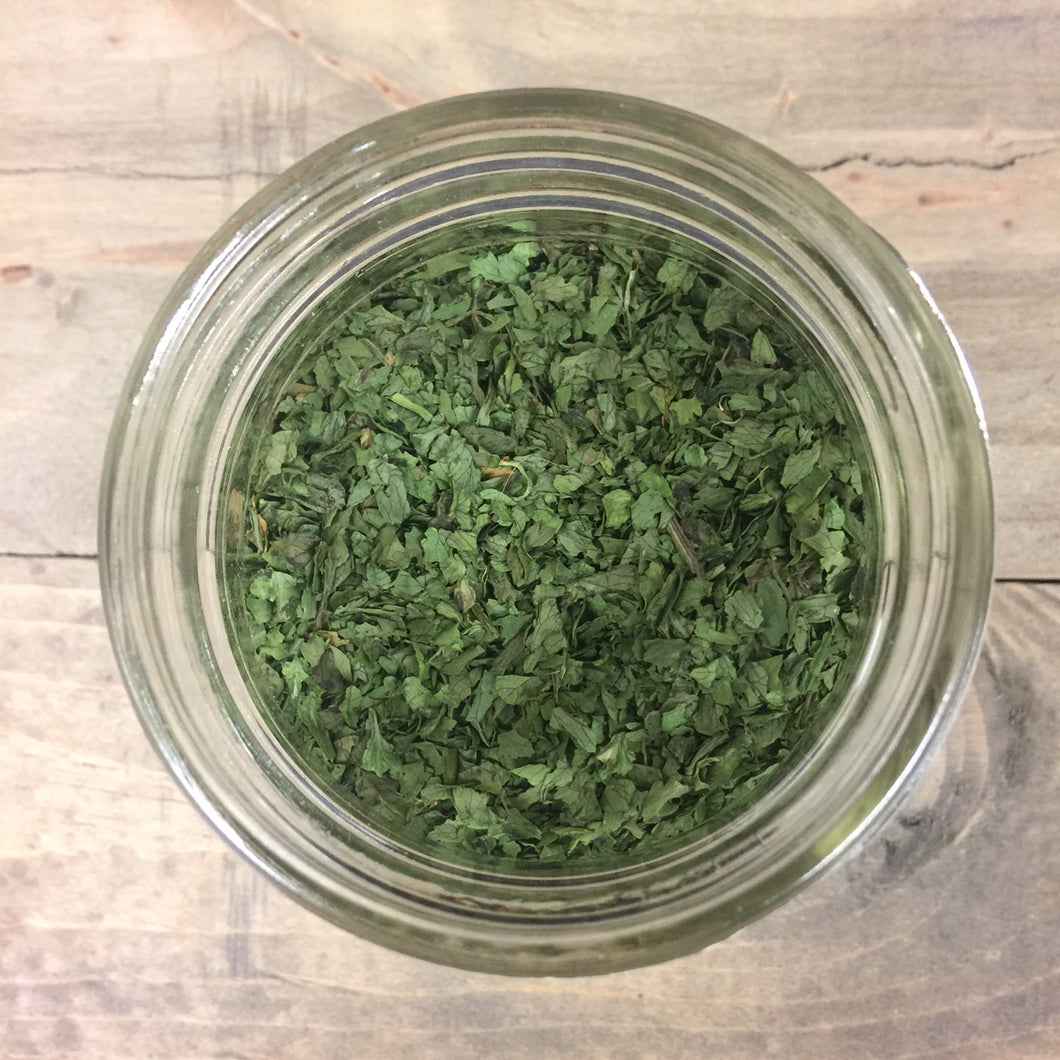 Cilantro