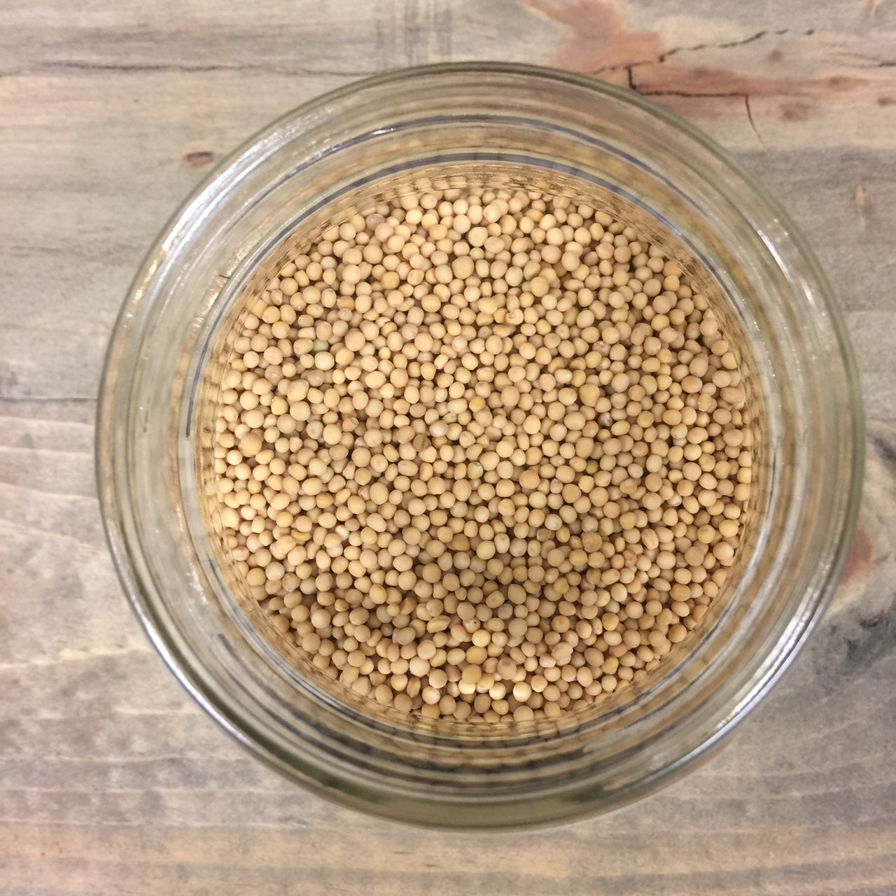 Mustard Seed – TheZestyMoose