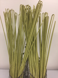 Spinach Fettuccine